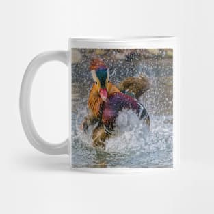 Mandarin Duck Splashing Mug